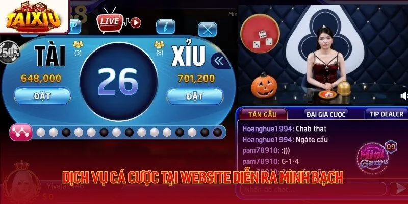 Dịch vụ cá cược tại website diễn ra minh bạch